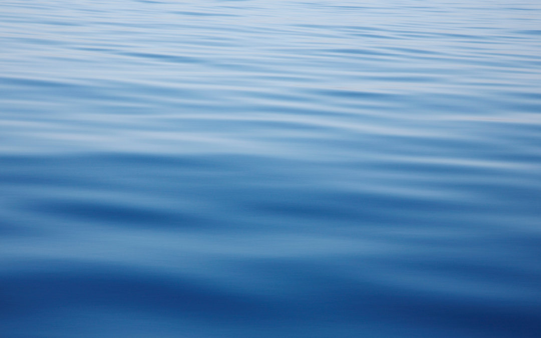 Escaping the Chaos: Find Balance and Flow in Emotional Dysregulation 🌟