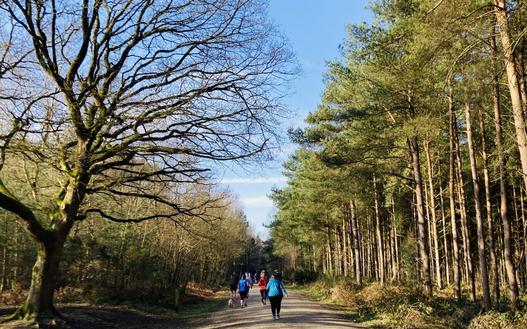 Park Run — More Than a Run