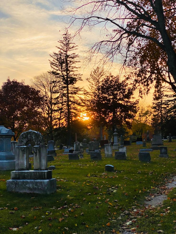 21c34ee782506bc11556c0da6efa52fb